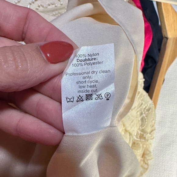 J.Crew Collection Champagne Beaded Mini Dress - Picture 6 of 6